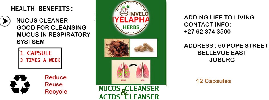 Herbal wellness products arranged naturally for everyday care