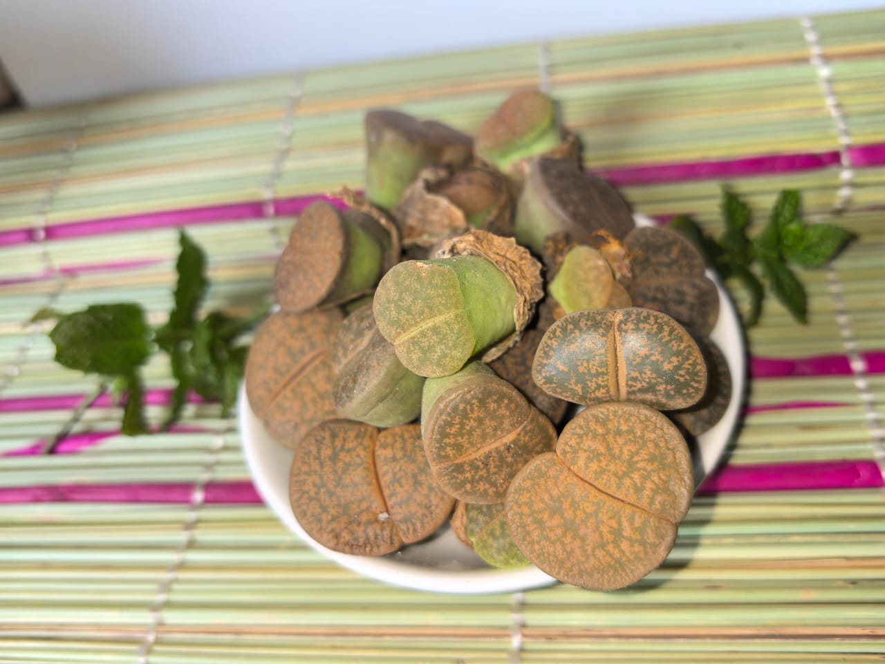 Natural product arrangement supporting holistic wellness education